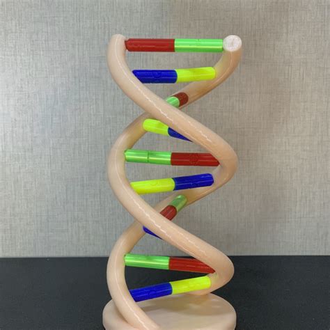 dna 3d print